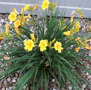 Meet your Posher, Mel